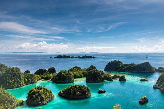 Menjelajahi Keindahan Raja Ampat: Surga Bawah Laut Indonesia
